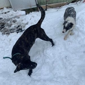 Meet your Posher, Kenyon